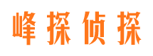 正定外遇调查取证